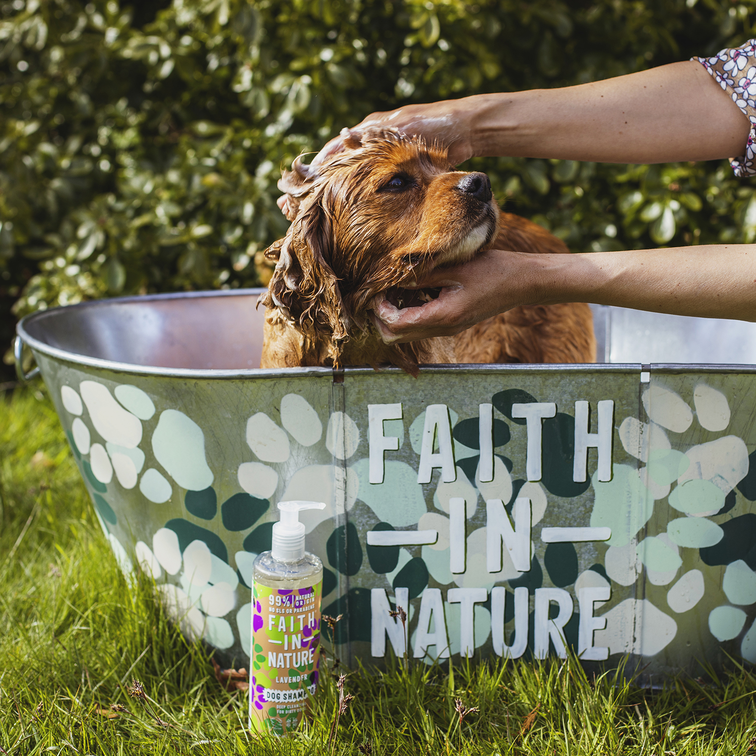 Prime_Distributor_shpk_Heather_Birnie_Faith_in_Nature_Dog_Shampoo_59